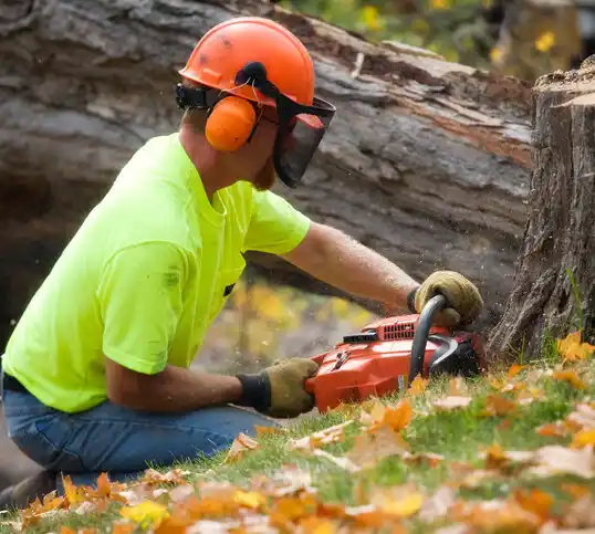 tree services Slaughter